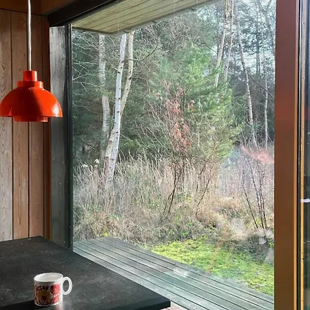 Experience Nature In Architect-designed