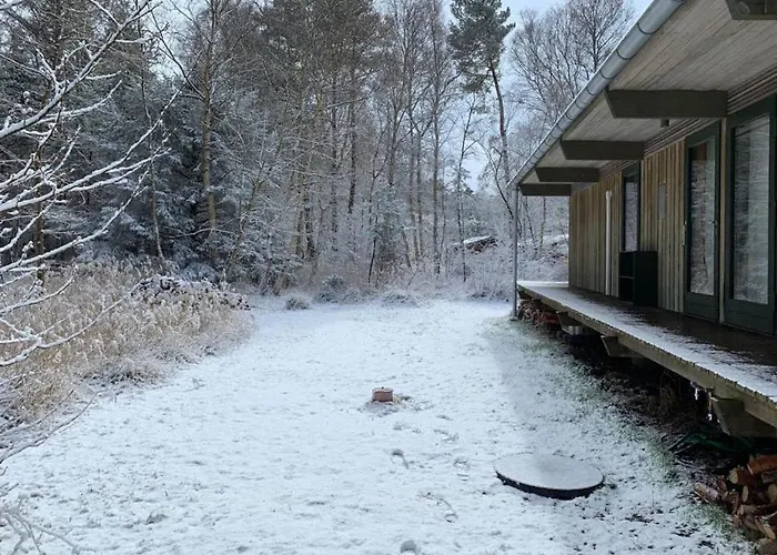 Oplev Naturen Taet Pa I Arkitekttegnet *